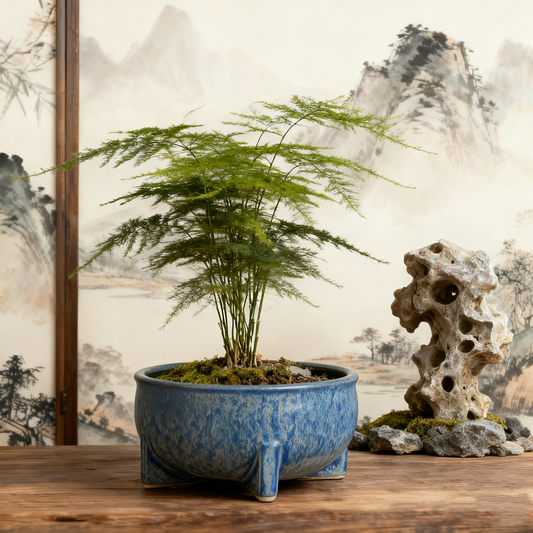 Blooming Beryl Flowerpot