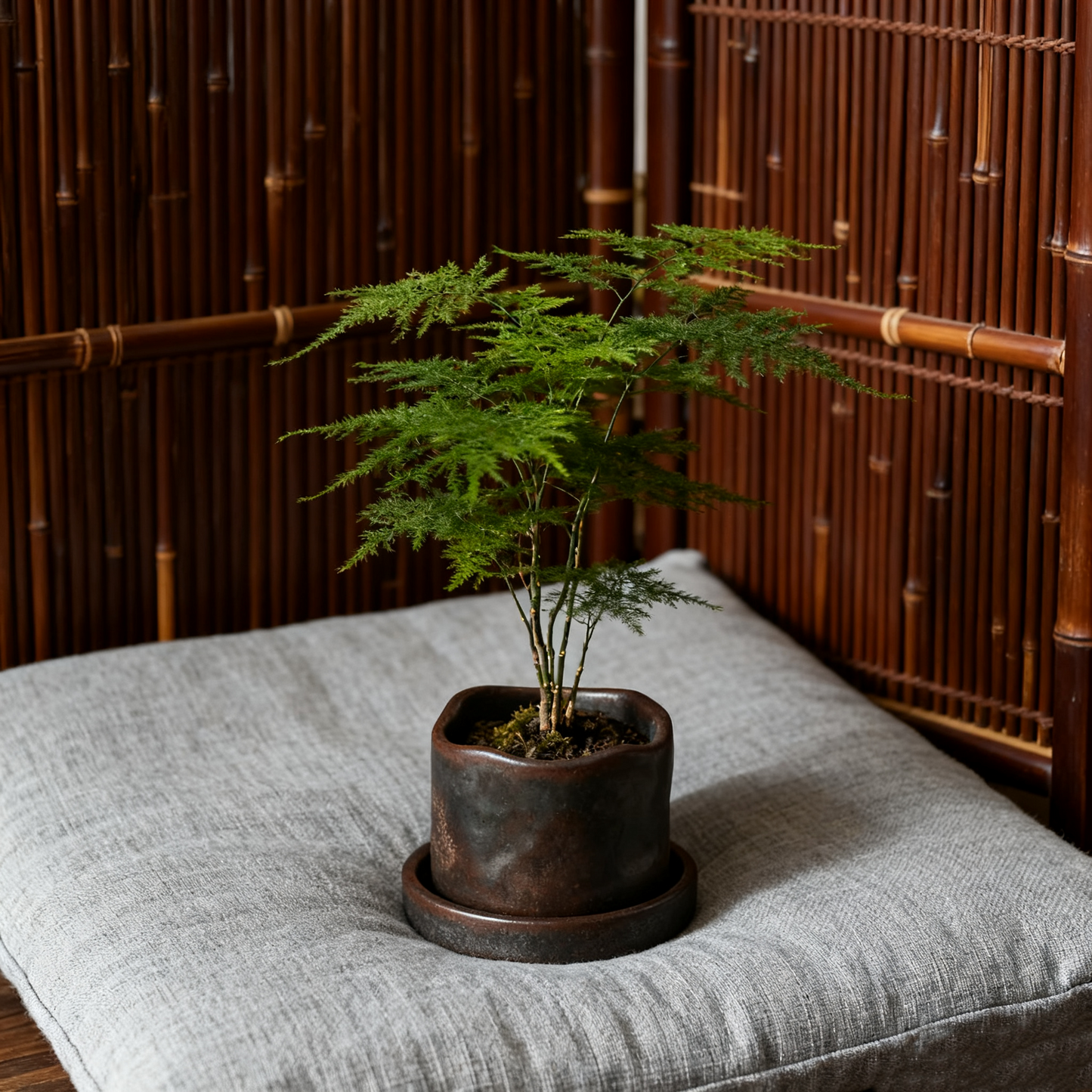 Charming Mini Pots, Set of 2