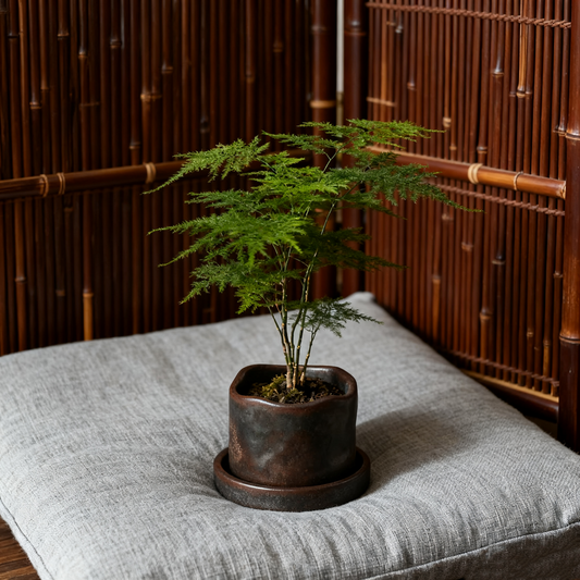 Charming Mini Pots, Set of 2