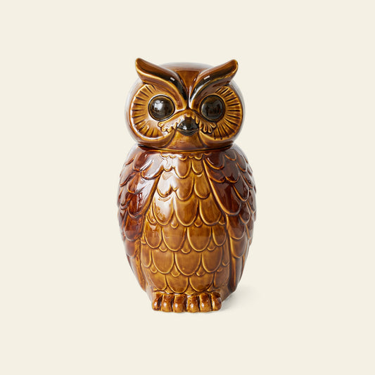 Ceramic Owl Jar