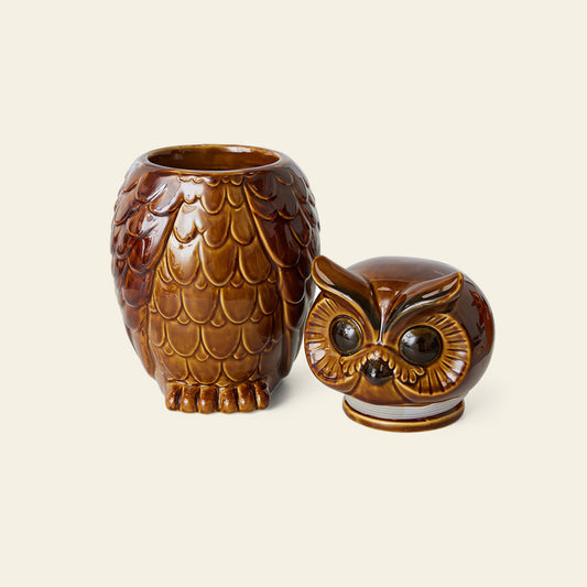 Ceramic Owl Jar