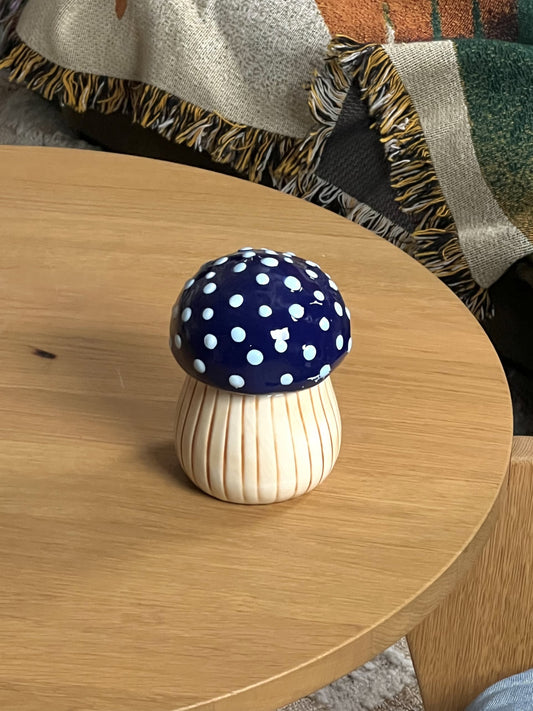 Multicolor Magic Mushroom Jar